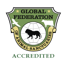 The ARCAS Wildlife Rescue Center is accredited by the Global Federation of Animal Sanctuaries as having met the highest standard in humane animal care.