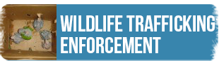 ARCAS Wildlife Trafficking Enforcement